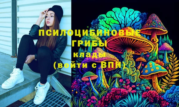 гидропоника Белокуриха
